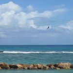 Labadee Zipline